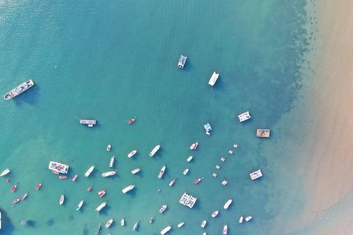 全國兩會上青島市長趙豪志強調(diào)海水養(yǎng)殖技術(shù)研發(fā)的重要性