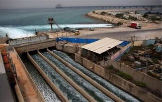 從“陸稻”到“海稻” 中國(guó)科學(xué)家以創(chuàng)新養(yǎng)殖技術(shù)布局全球海洋