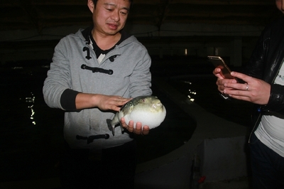 大連啟航“海魚(yú)陸?zhàn)B”保險(xiǎn)，海水養(yǎng)殖技術(shù)研發(fā)迎來(lái)新機(jī)遇