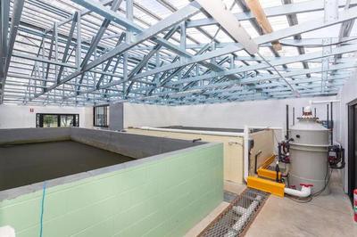 內(nèi)陸循環(huán)海水養(yǎng)蝦新突破 手掌大規(guī)格蝦亮相，口感營(yíng)養(yǎng)比肩北極甜蝦