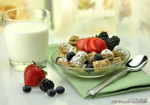 健康管理的核心 超越保健品，聚焦科學餐飲管理