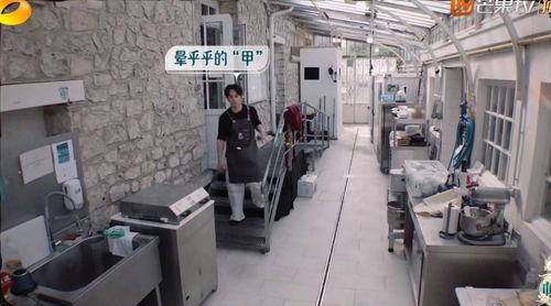 《中餐廳8》爭(zhēng)議升級(jí) 林述巍被鎖冷庫(kù)，導(dǎo)演做法引眾怒